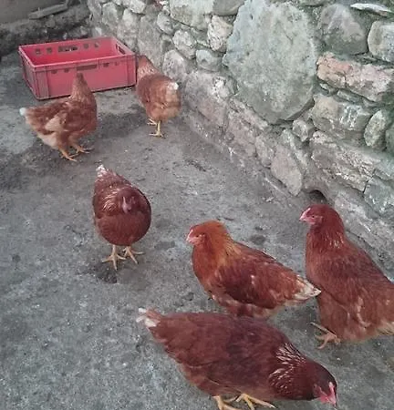 Campsite Agricampeggio Terra Di Mezzo *