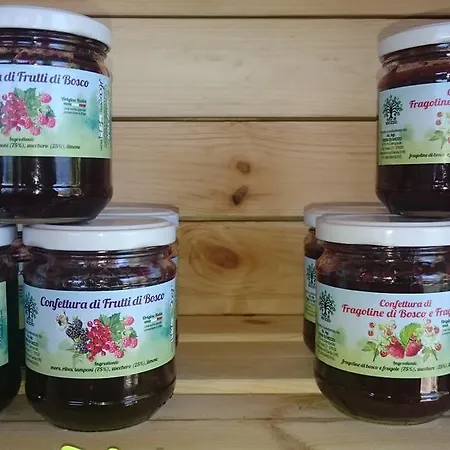 Agricampeggio Terra Di Mezzo Campeggio Brenzone sul Garda